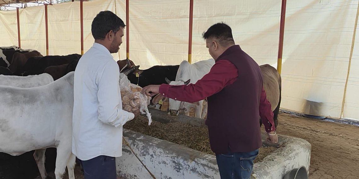 govardhan-saharanpur-news