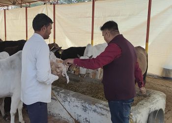 govardhan-saharanpur-news