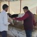 govardhan-saharanpur-news