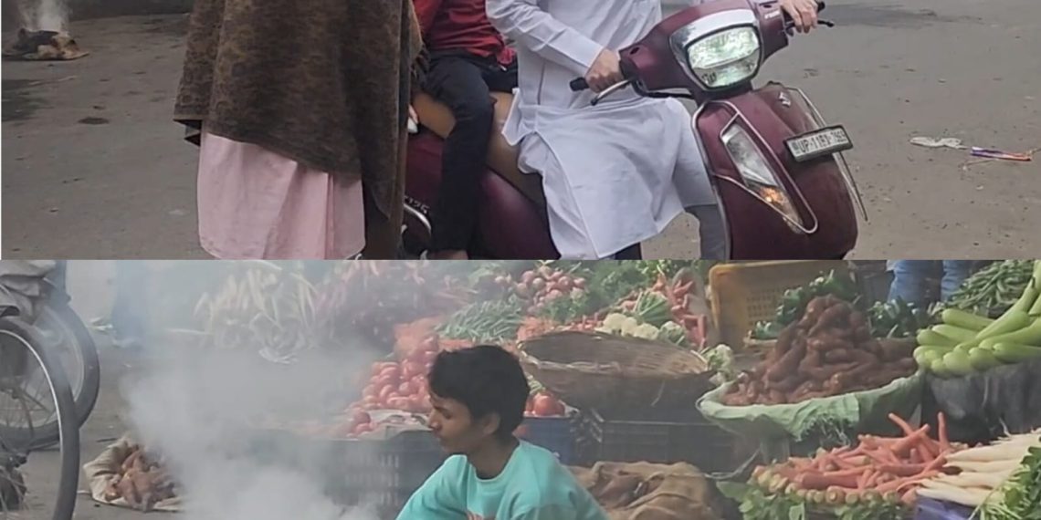 सहारनपुर में मधुमखियों का ATTACK, 25 को काटा, 3 बेहोश